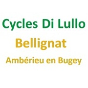 Haut Bugey VTT : Cycles Di Lullo - Bellignat - Ambérieu en Bugey